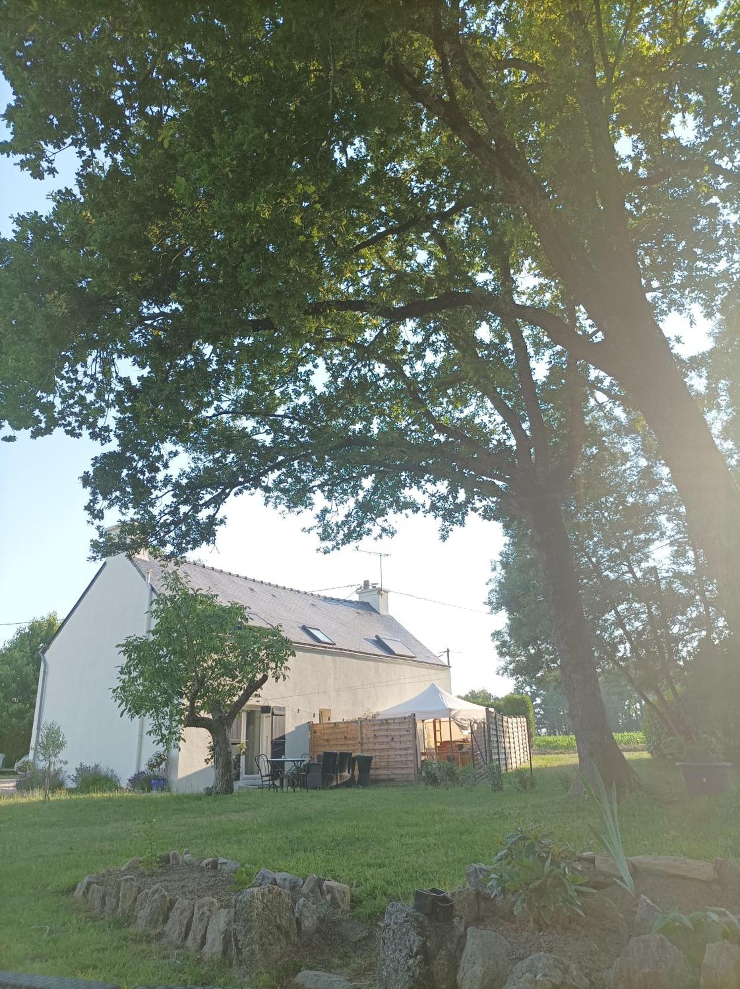 Le Tigite B&B: Private Terrace & Multi-Room Retreat Allaire Exterior photo