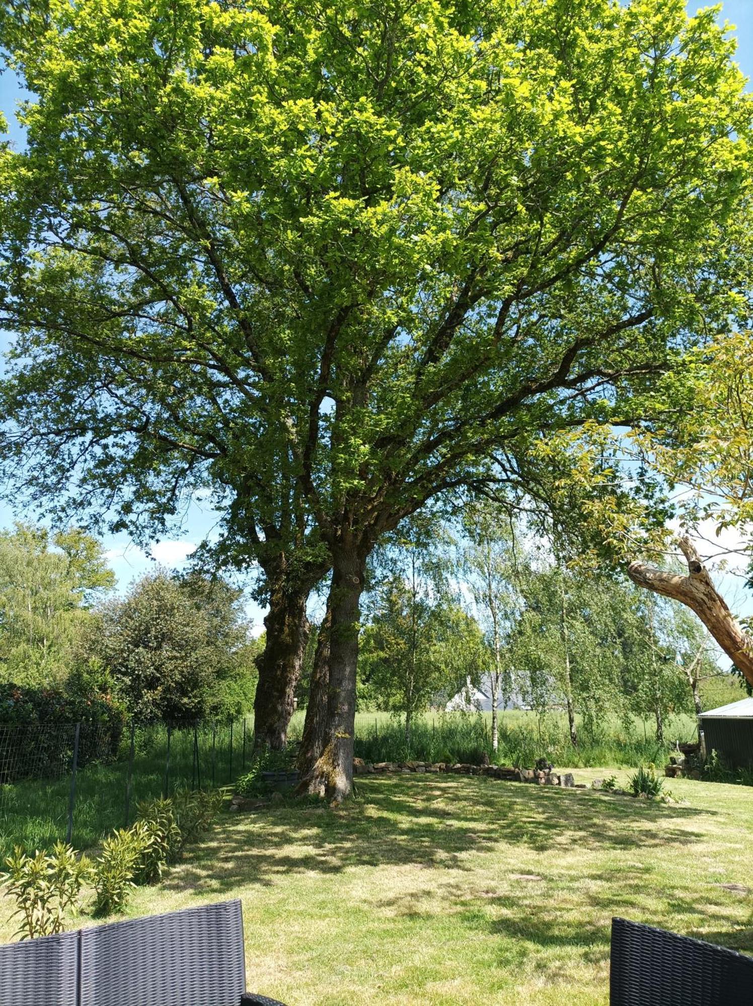 Le Tigite B&B: Private Terrace & Multi-Room Retreat Allaire Exterior photo